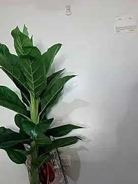 StripChat Nubian_Berry is Private Nubian_Berry — pussy play