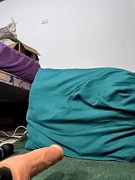 Freechat shelby_kutter on StripChat